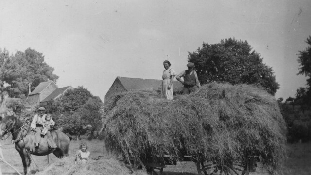 Marraine Laure aux foins